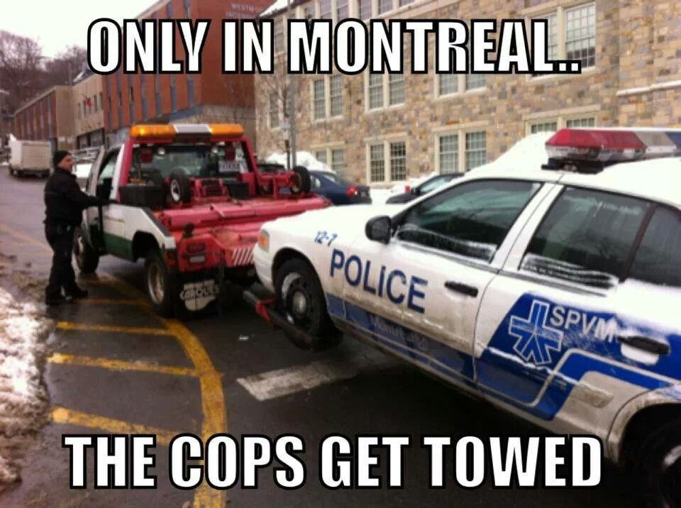 Kanadski pauk najviše voli murju