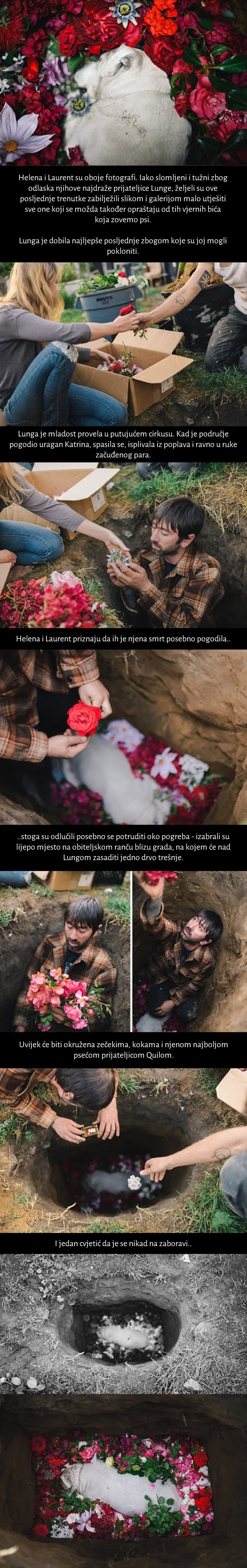 Galerija: Najljepše posljednje "zbogom" ljubimici na jastuku od cvijeća