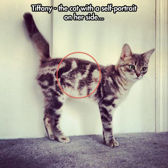 Maca s autoportretom na krznu