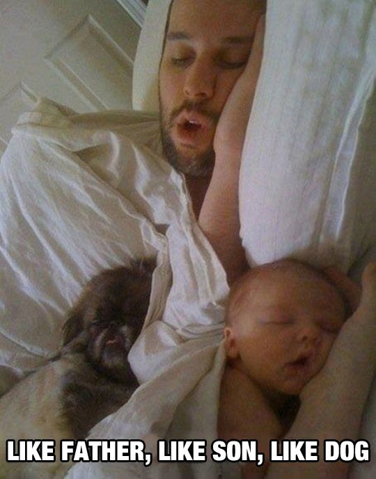 Kakav otac - takav sin.. a takav i pas