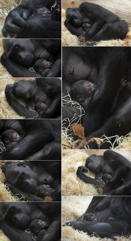 Kad te mama voli na najjače...