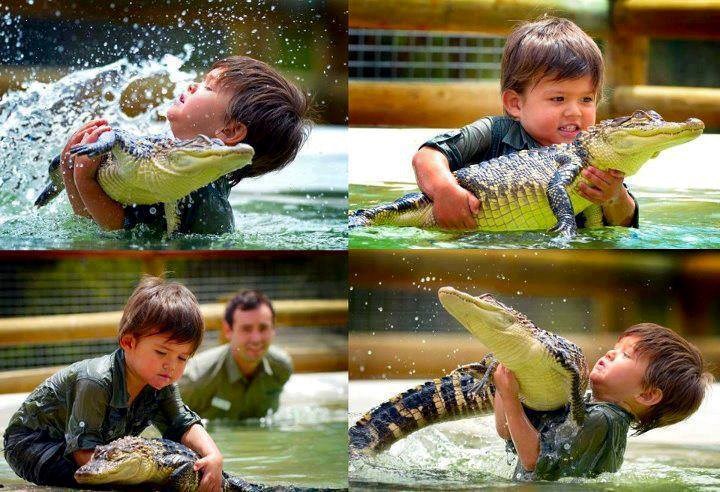 Nasljednik Stevea Irwina?