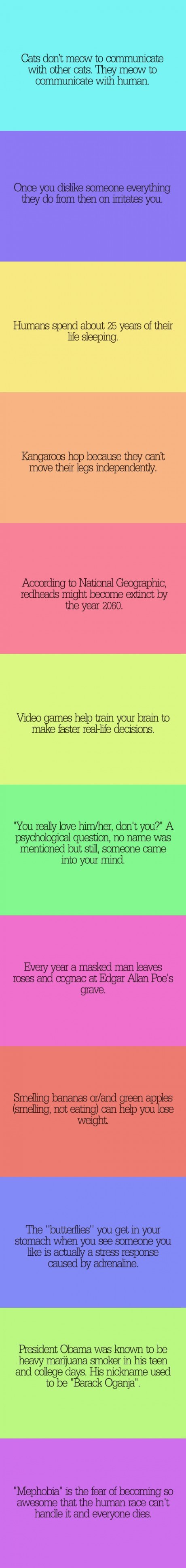 Zašto klokan skače? Što su leptirići u trbuhu? Saznaj!