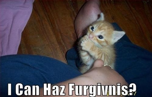 Tko joj ne oprosti nema duše!