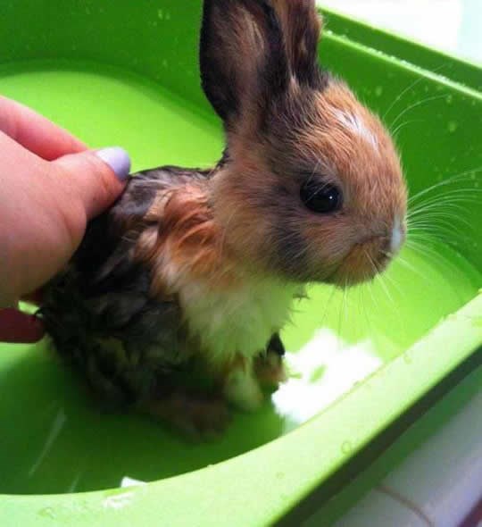 Nikakvo kupanje ne može isprati slatkoću