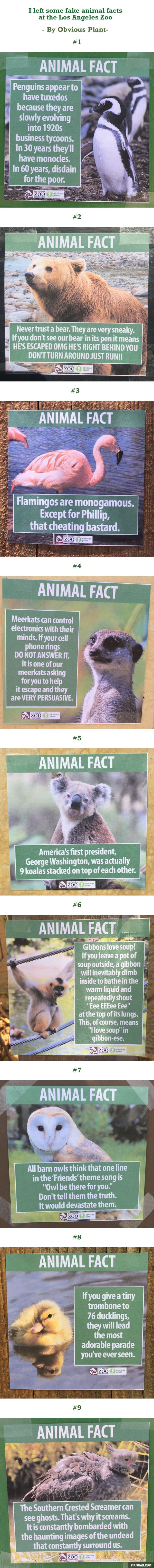 Genijalac po zoološkom podmetao lažne opise životinja