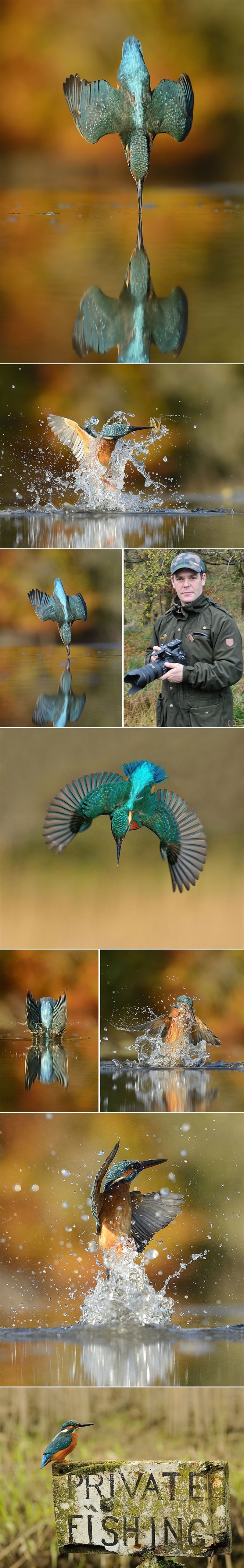 Uhvatio fotku života nakon 6 godina truda i 720 000 pokušaja!