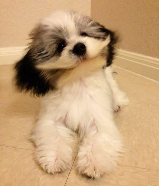 Nikad tuga uz ovog druga