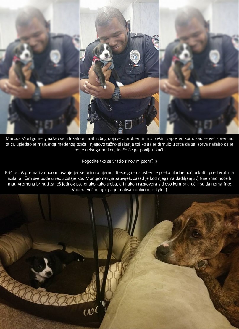 Policajac odjurio na intervenciju, vratio se s najslađim psićem ikad!