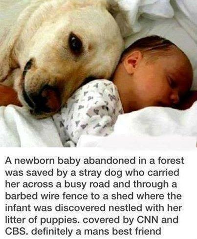 Napuštena kujica "posvojila" napuštenu bebu