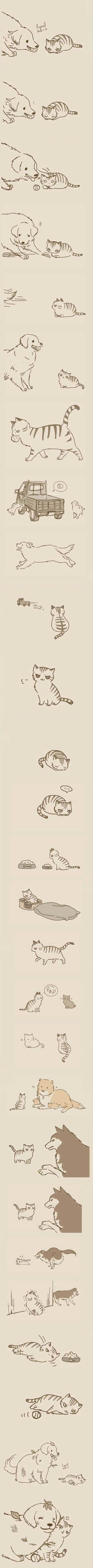 Životinjska ljubav: Psi nisu samo ljudima najbolji prijatelji, i mačke ih vole!