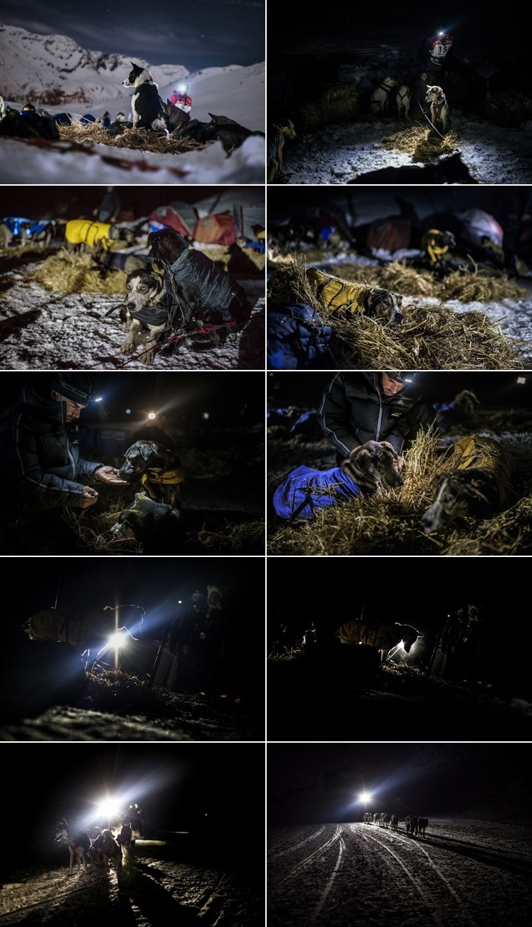 Pseća alpska noćna idila