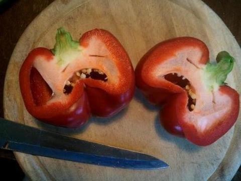 Tko kaže da povrće nema osjećaje :(