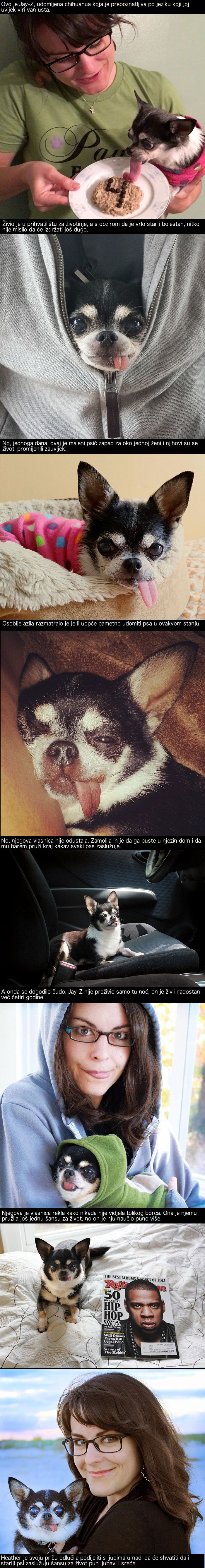 Rekli su joj da je ovaj psić prestar i prebolestan za udomljavanje, no ona ga je svejedno odnijela doma