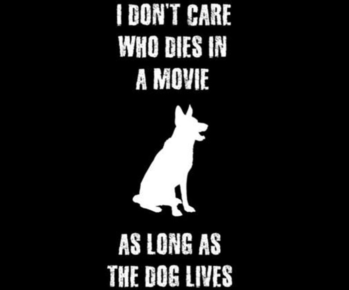 Gledanje filmova nakon što nabaviš psa