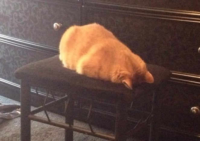 Vikende, gdje si, ne mogu višeee!