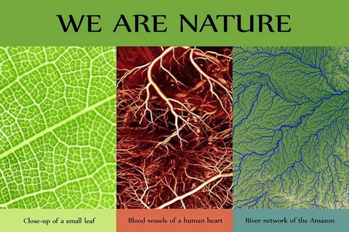 Čovjek nije samo dio Prirode, čovjek jest Priroda