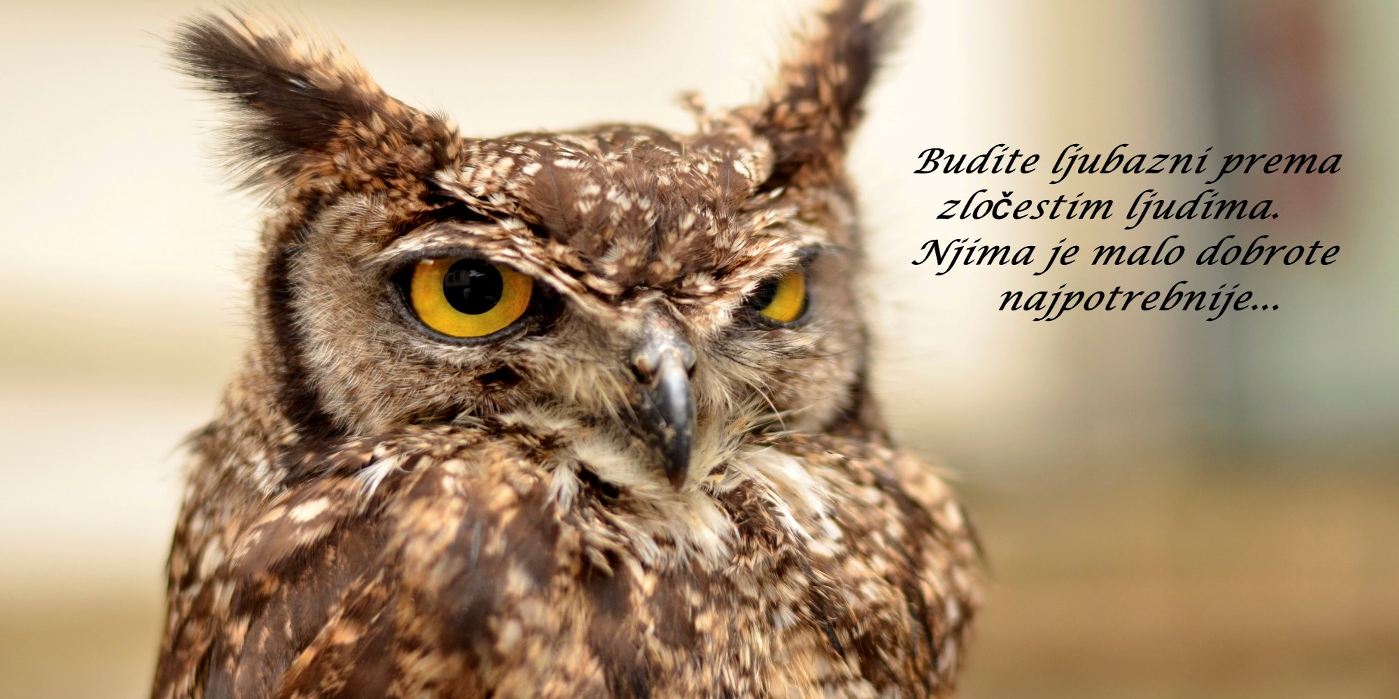 Nije lako živjeti u zatvoru gorčine i jada