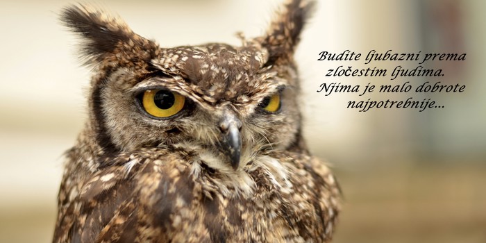 Nije lako živjeti u zatvoru gorčine i jada