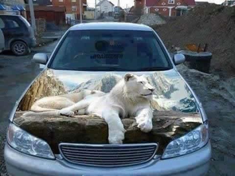 Kad imaš para, ali ne i ukusa