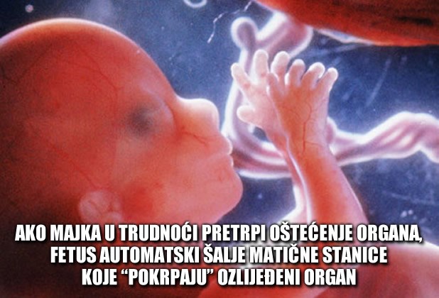 Fetus liječi mamu!