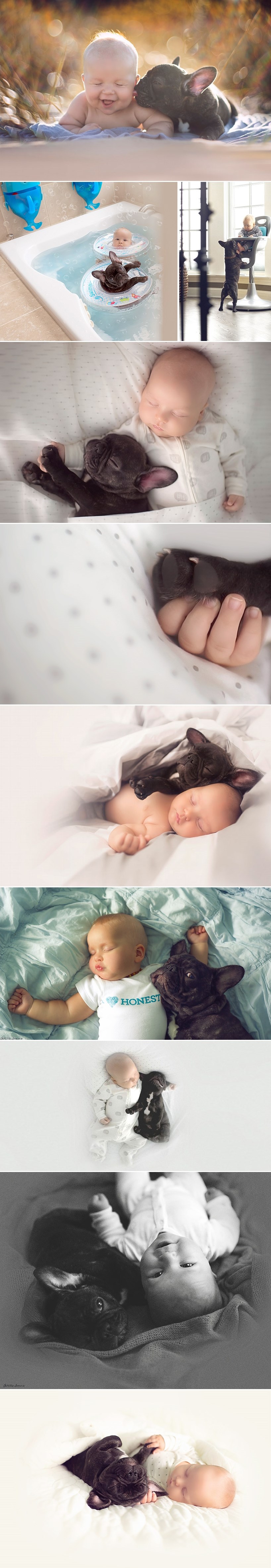 GALERIJA: Beba i psić rođeni na isti dan misle da su braća