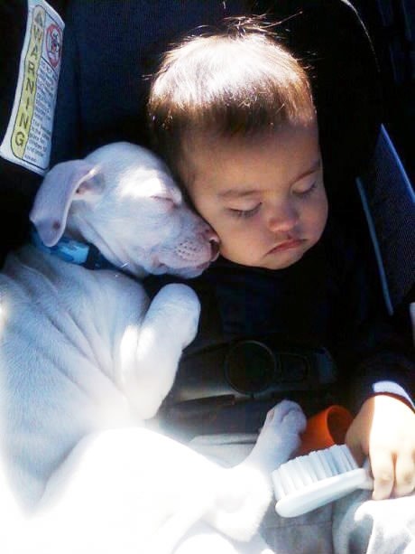 Naporna su ta obiteljska putovanja na more