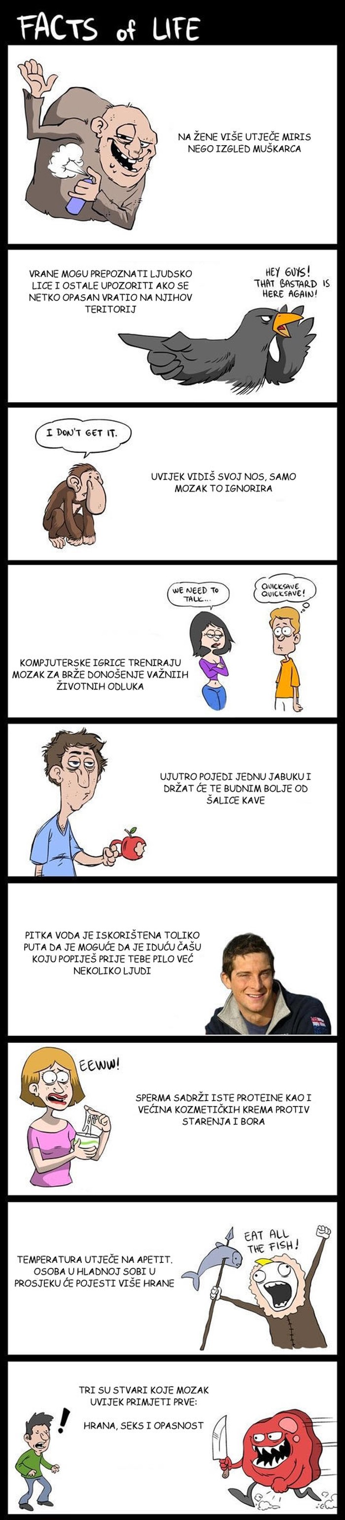 Bitne životne činjenice koje moraš znati
