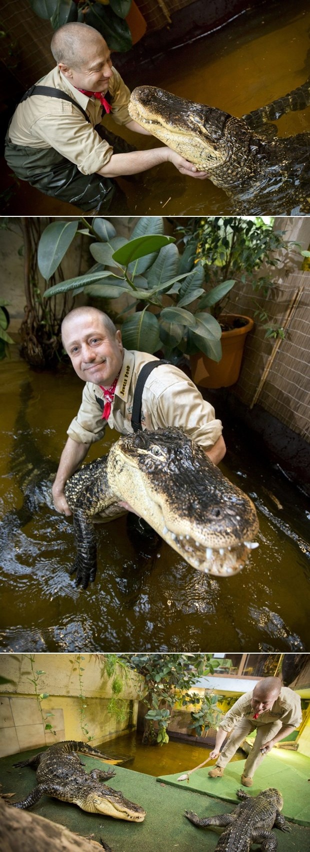 Drži krokodile kao kućne ljubimce