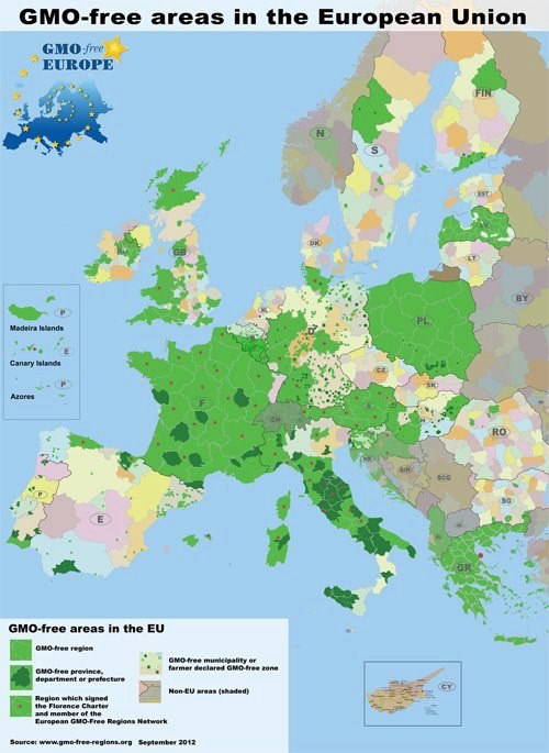 Pogledaj koji su dijelovi Europe zone bez GMO-a