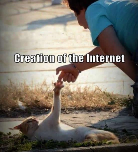 Senzacija: Otkrivena fotka nastanka Interneta!