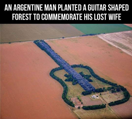 Zasadio šumu u obliku gitare u sjećanje na svoju dragu