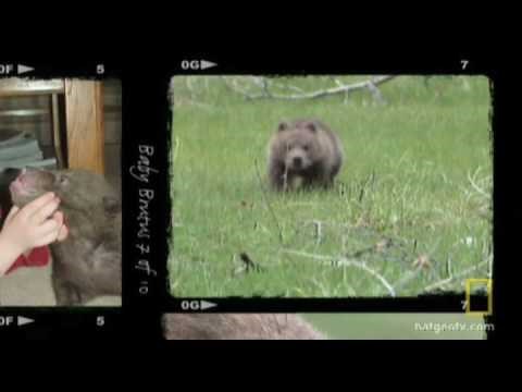 Kad je spasio napuštenog medvjedića, nije sanjao da će mu se za 6 godina zahvaliti na nevjerojatan način