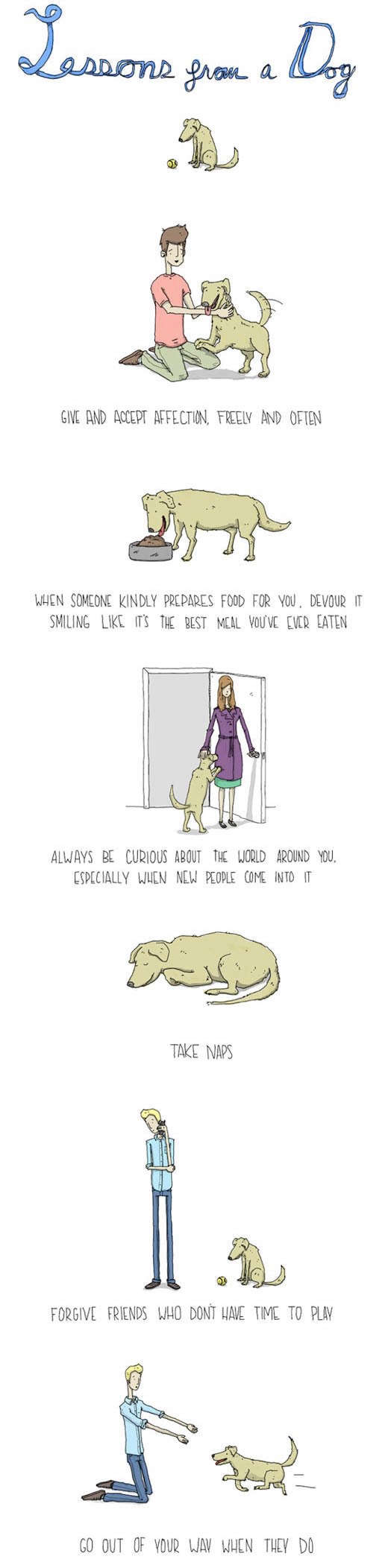 Životne lekcije od psa