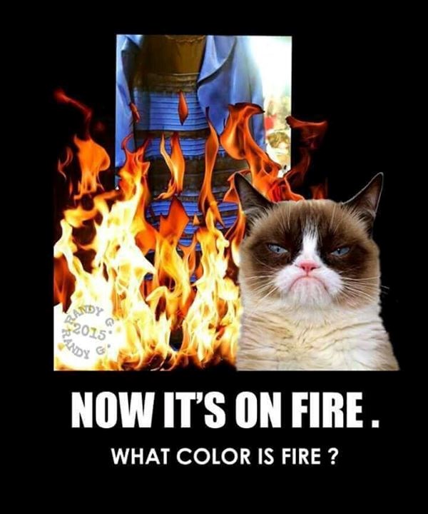 Slučaj "Haljina" konačno pokopan