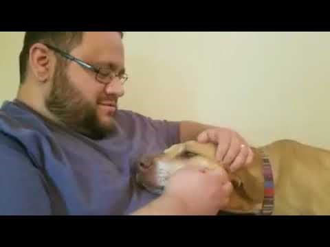 Muškarac je radio na računalu, a onda mu je došao pas i počeo raditi nešto zbog čega je odmah uzeo pauzu