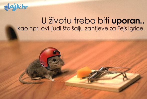 U životu budi uporan kao spamer!