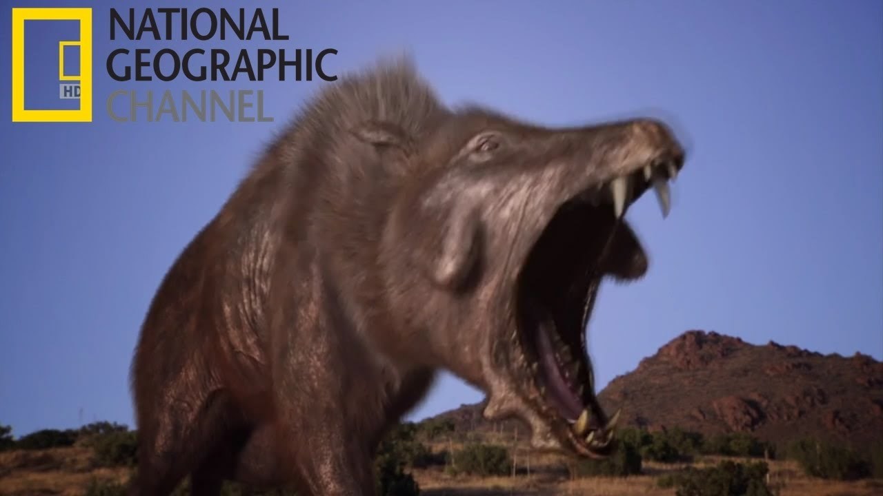 DOKUMENATARAC: Svinja ubojica