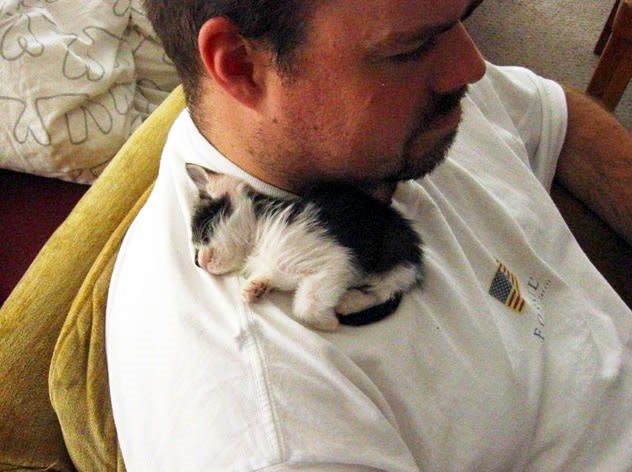 Nema micanja dok mica 'pava