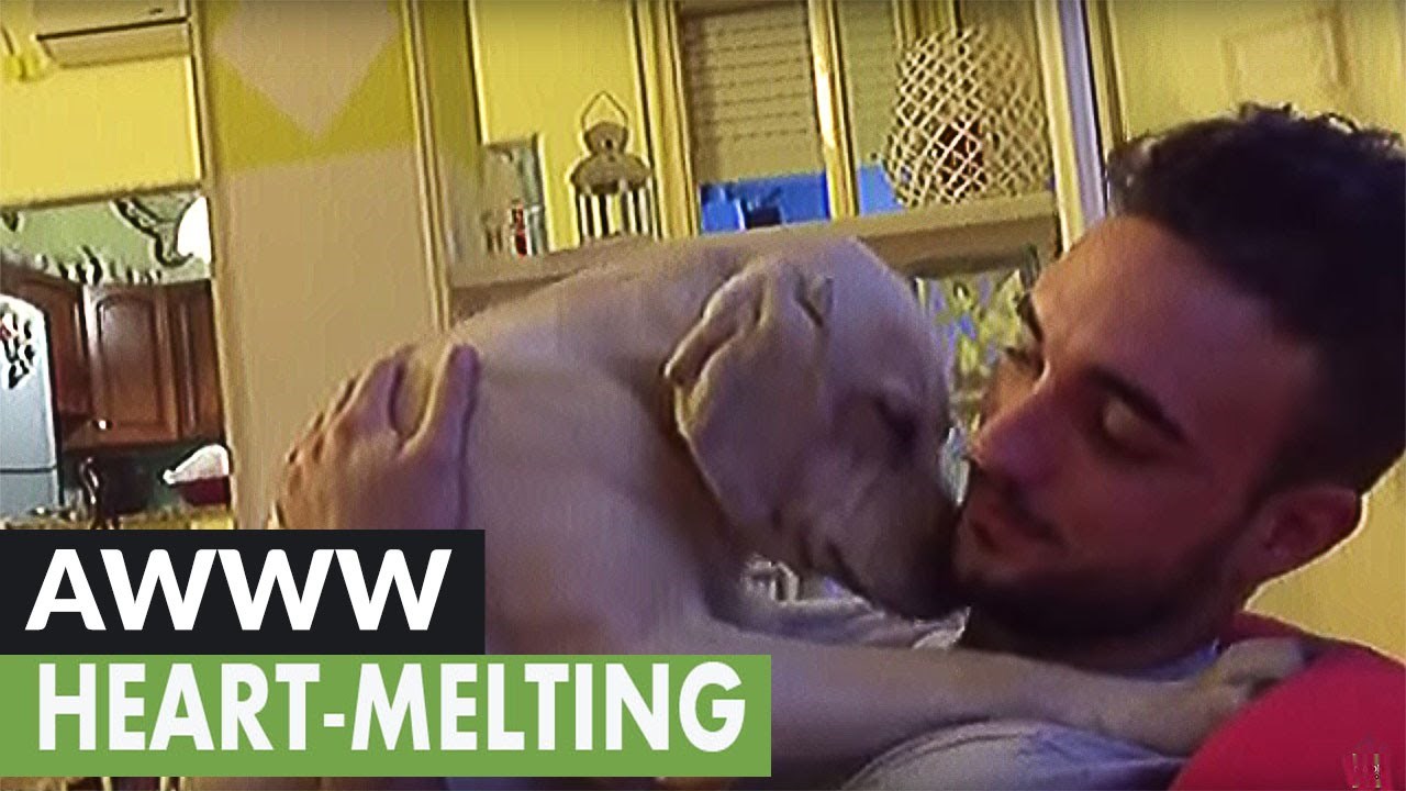 Ovaj je pasonja priznao krivnju i sada traži oprost