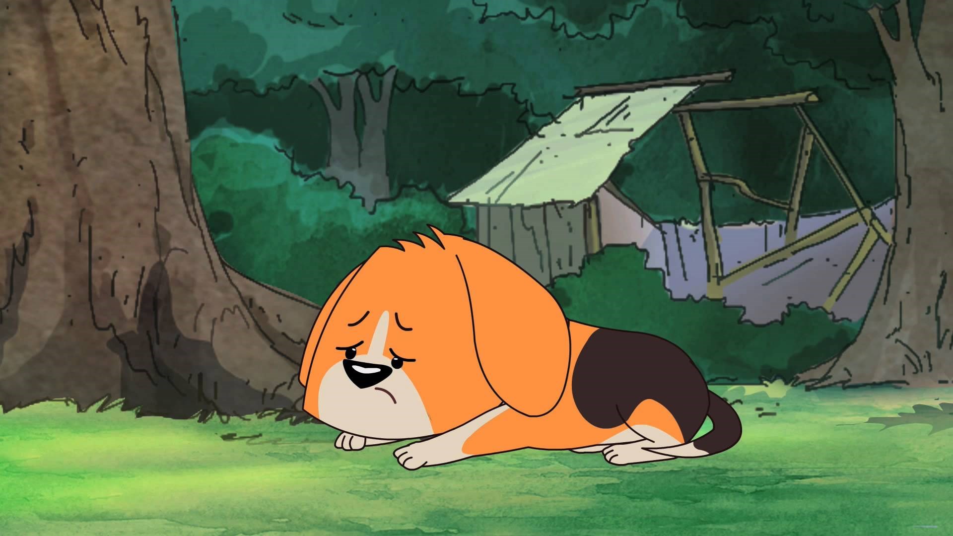 Video koji će vas rasplakati: Ovako reagiraju psi kada ih se ostavi