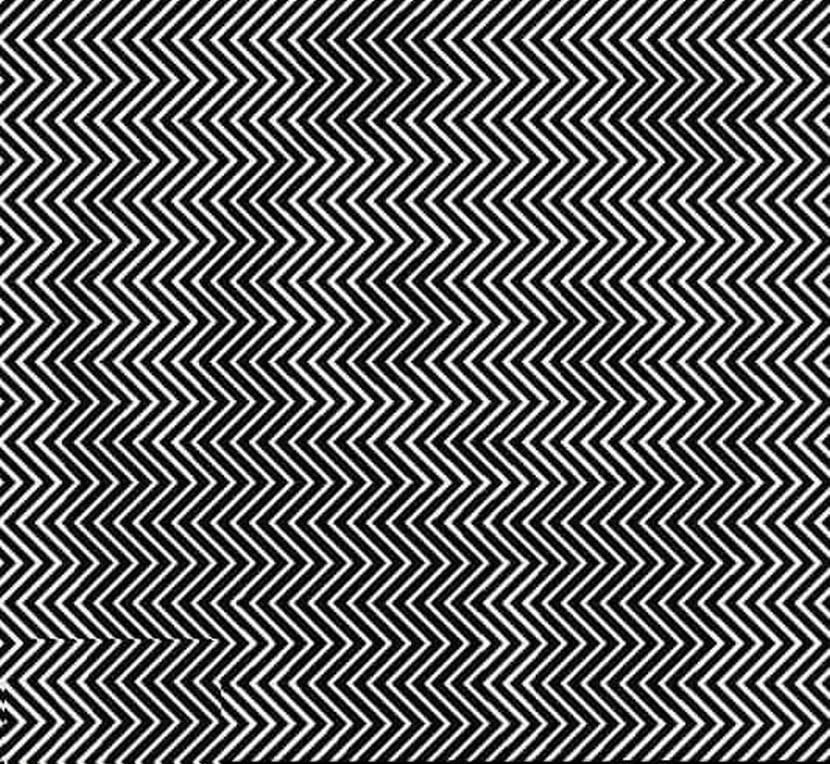 Imate li sposobnost vidjeti što se skriva na slici?