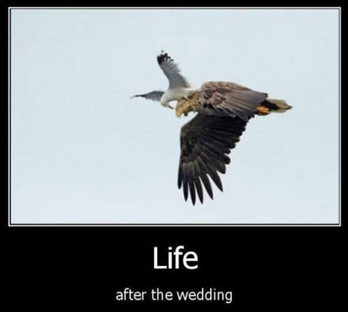 Život nakon vjenčanja