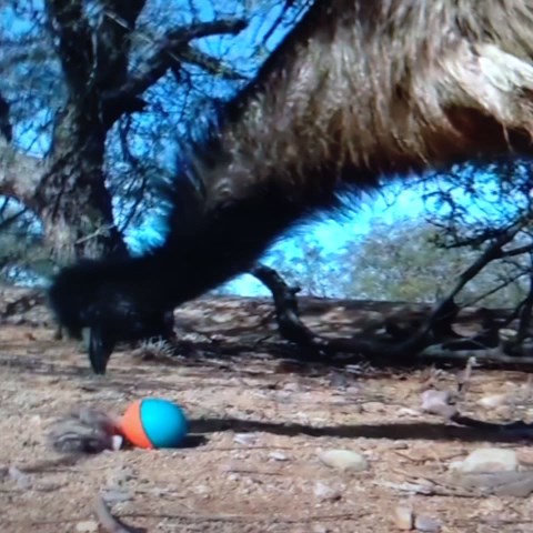 I'd Be Scared Too, Honestly. #funny #lol #bestvine #wtf #humor