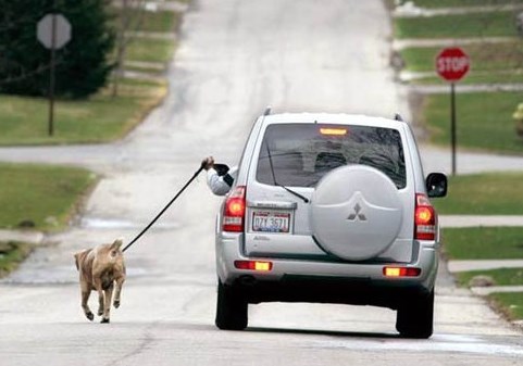 Lijenost ponekad prelazi sve granice