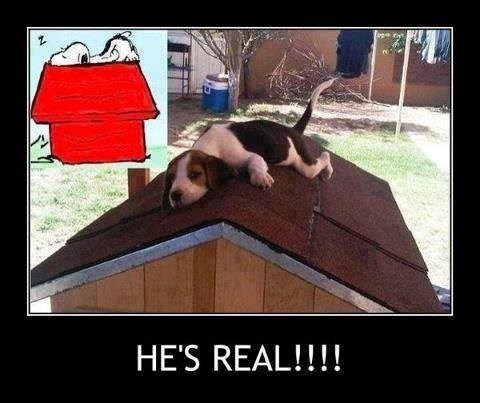 Pas gledao crtić ili autor crtića imao psa?