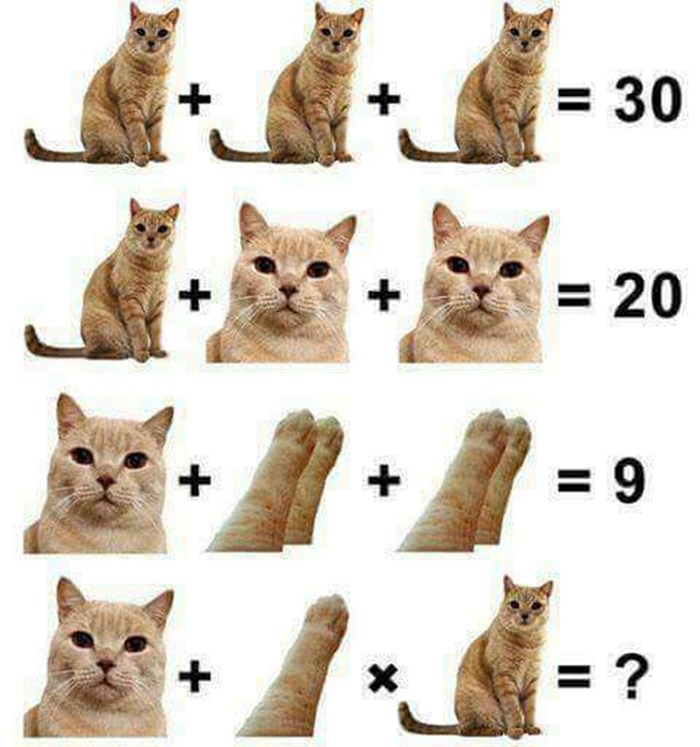 MAČJA MOZGALICA Ajmo matematičari, znate li riješiti ovaj zadatak?