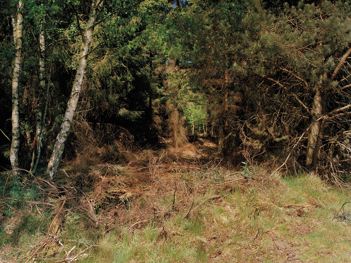 Vidite li lovca na ovoj fotografiji?