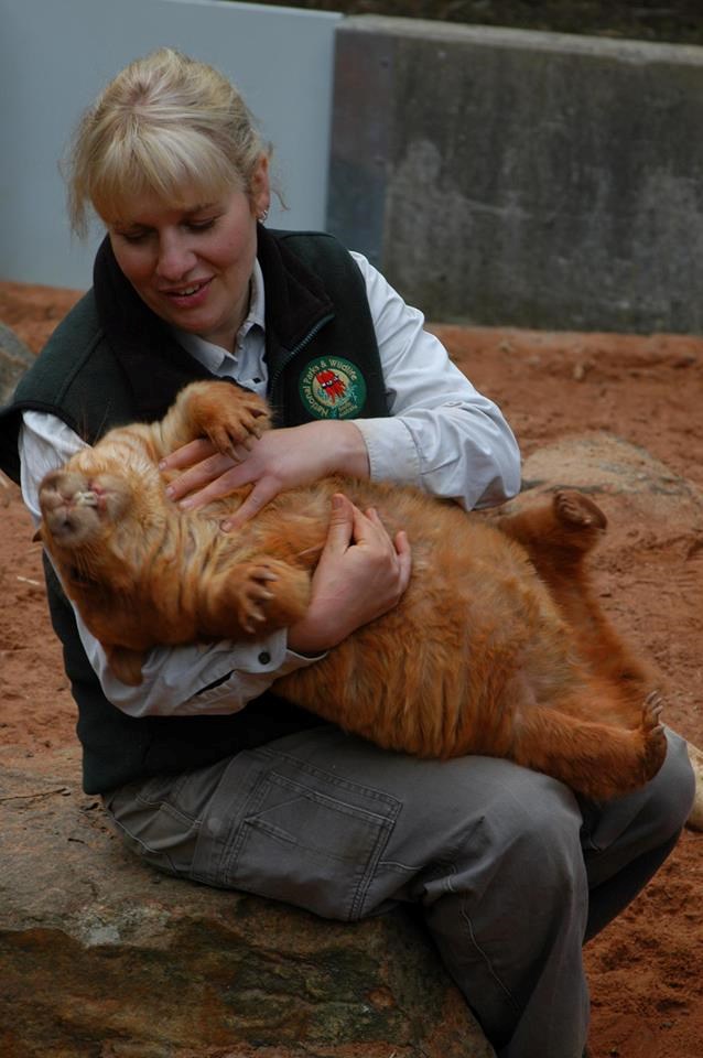 Češkaj me, češkaj tu, tu i tu...