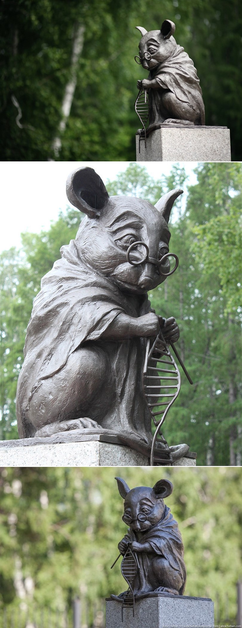 GALERIJA: Divna gesta rusa - odali počast laboratorijskim štakorima